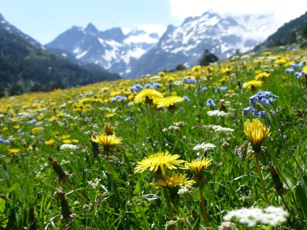 photo-notre-histoire